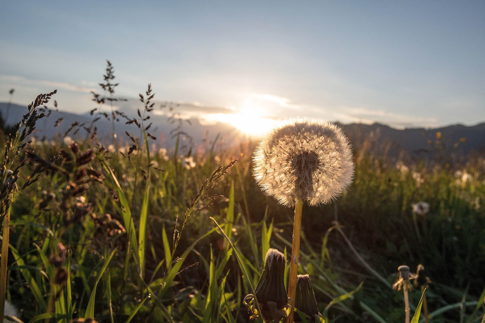 Bergsonne Appartements - Sommer Sonnenaufgang